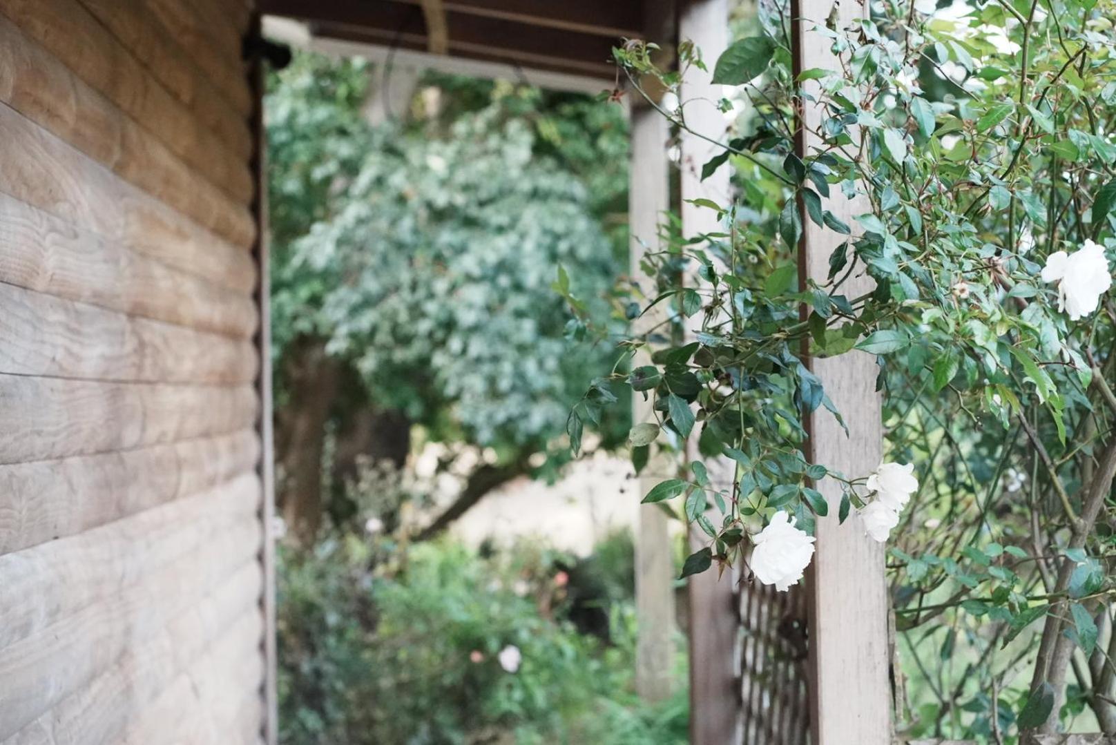 A Cabin With A Big View, Comfort And Tranquility, Close To Vines Мартінборо Екстер'єр фото